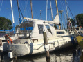 Albin Vega 27 Segelyacht