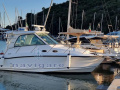 Boston Whaler 345 CONQUEST Motoryacht