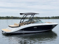 Sea Ray 210 SPXE Sportboot