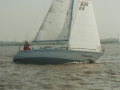 Hanse 331 Seilyacht