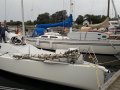 Harp8 Barca da regata