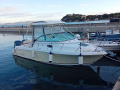 Robalo R 265 Motoscafo