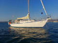Cumulant III Segelyacht