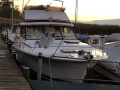 Trojan Sedan F 32 Flybridge