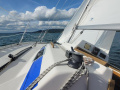 Hanse 291 Seilyacht