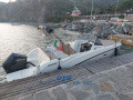 Quicksilver Activ 675 Sundeck Deck Boat