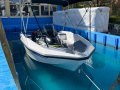 Sealver WaveBoat 444 + Sea-Doo Explorer Wakeboard/Wakesurf