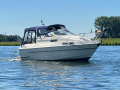 Sealine 255 Family Sportboot