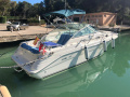 Sea Ray 270 Sundancer Sportboot