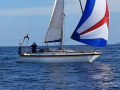 Noray 31 Velero crucero