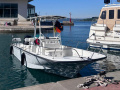 Boston Whaler Montauk 210 Konsollu tekne