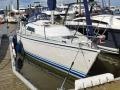 Winner (NL) 9.50 Segelyacht