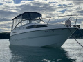 Bayliner 245 SB Ciera Kamaralı Tekne