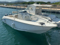 Boston Whaler 240 OUTRAGE Barco pesquero