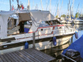 Fiord Fjord 815 SS E Kajütboot