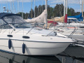 Sealine S 23 OPEN SPORT Motorová jachta