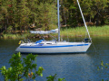 Sweden Yachts 36 Yelkenli Yat