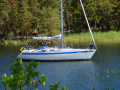 Sweden Yachts 36 Yelkenli yat
