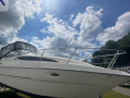 Bayliner 275 Kajütboot