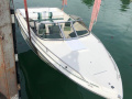 Sea Ray 190CB Motoscafo