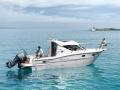 Sessa Dorado 26 Timonerie
