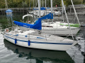 Wirth AG / Maestro / Siesta 32 Segelyacht