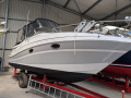 Four Winns 258 Vista Motoryat