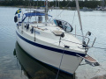Albin 82 MS Yelkenli Yat