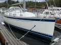Hallberg-Rassy 310 Havseiler