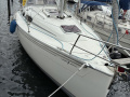 Bavaria 31 Cruise Daysailer