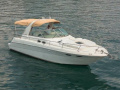 Sea Ray 310 SUNDANCER Lancha