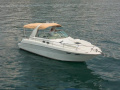 Sea Ray 310 SUNDANCER Sürat teknesi