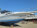SEARAY SeaRay 310 Sportsbåd