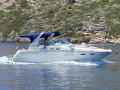 Sea Ray 310 Sundancer Motoryacht