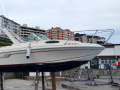 Faeton 600 FB Sportboot
