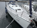Bavaria 38 Segelyacht