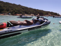 Sealver Waveboat 525 Sürat Teknesi