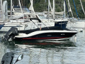 Sea Ray Spx230 Sportboot