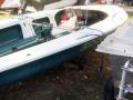 Windy Leo Bruckner Barca da regata