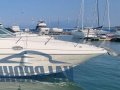 Sea Ray 315 SUNDANCER Sürat teknesi