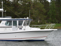 Nord Star 28 Patrol Pilotina