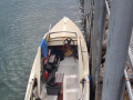 Steiner 570 Barca da pesca