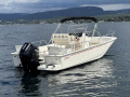 Boston Whaler 210 Montauk Konsollu tekne