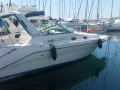 Sea Ray 290 SUNDANCER Motor yacht