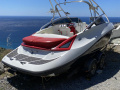 Sea-Doo Challenger SE Wakeboard/Wakesurf