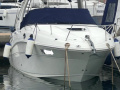 Sea Ray 260 Bateau à cabine