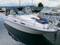 Sea Ray 230 DA LTD Sport boat