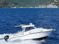 Boston Whaler Conquest 315 Yacht à moteur