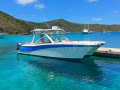 World Cat 280DC Yacht à moteur