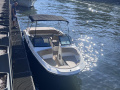 Sea Ray SPX 210 Bowrider